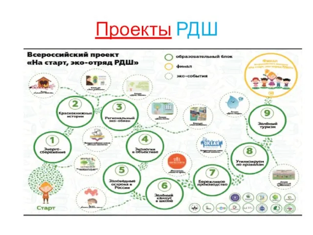 Проекты РДШ