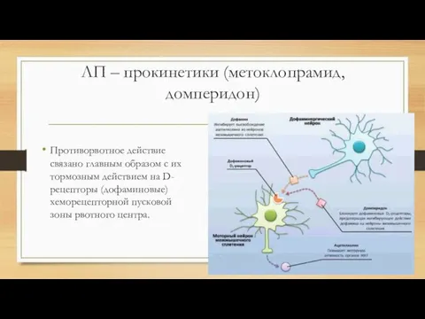 ЛП – прокинетики (метоклопрамид, домперидон) Противорвотное действие связано главным образом с их