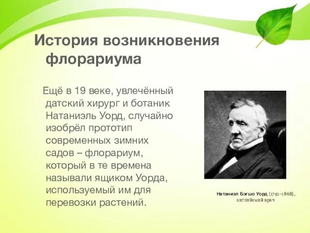 История возникновения флорариума Ещё в 19 веке, увлечённый датский хирург и ботаник