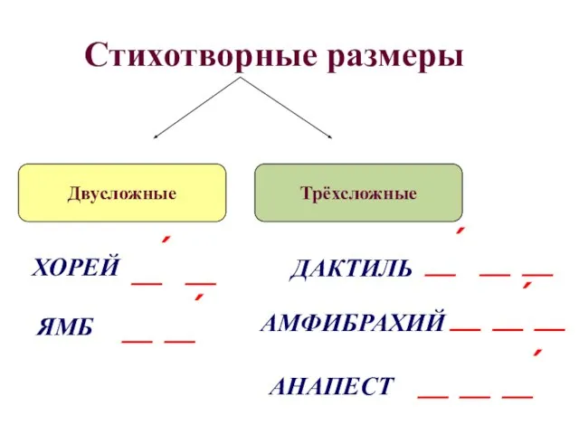 Стихотворные размеры Двусложные Трёхсложные ХОРЕЙ ЯМБ ДАКТИЛЬ АМФИБРАХИЙ АНАПЕСТ _́ _ _