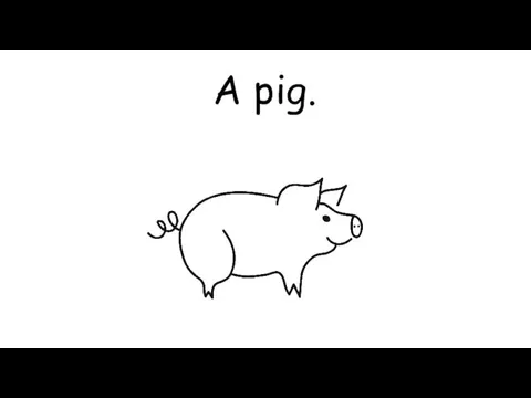 A pig.