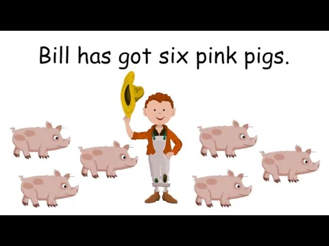 Bill has got six pink pigs.