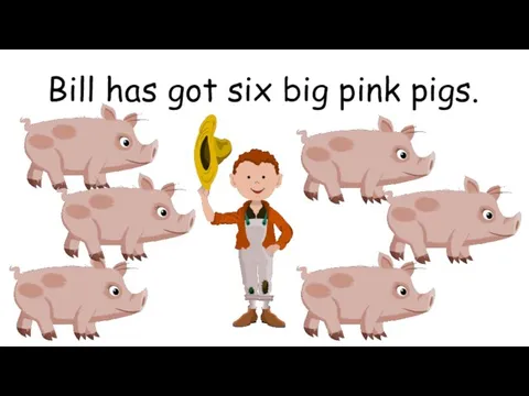 Bill has got six big pink pigs.