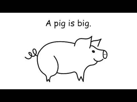 A pig is big.