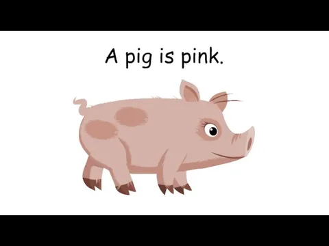 A pig is pink.