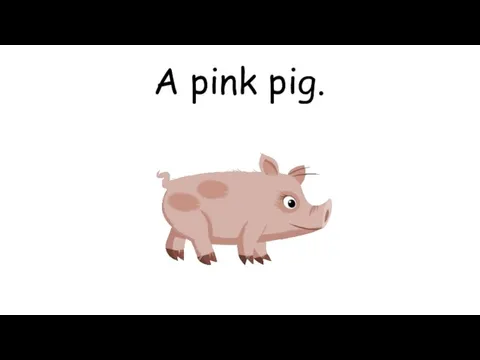 A pink pig.