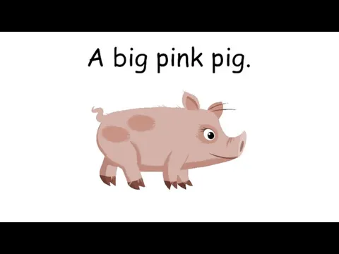 A big pink pig.