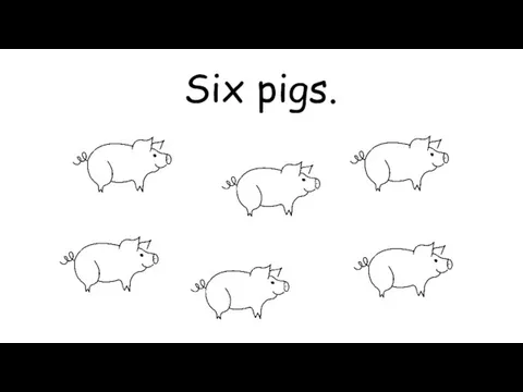 Six pigs.