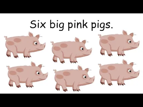 Six big pink pigs.