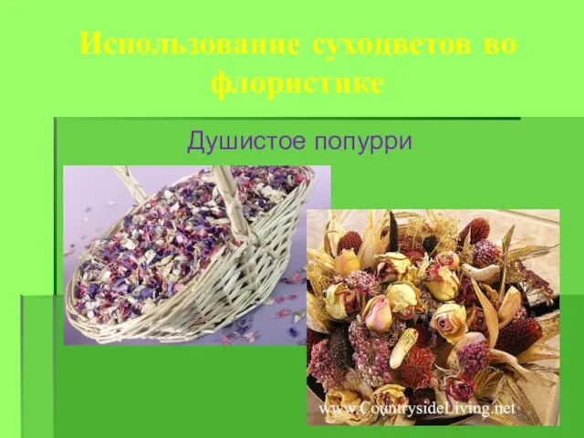 Использование сухоцветов во флористике Душистое попурри