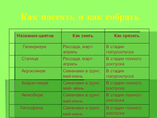 Как посеять и как собрать