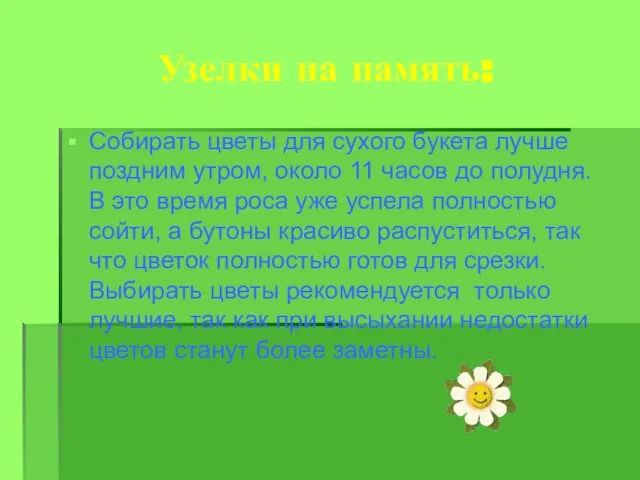 Узелки на память: Собирать цветы для сухого букета лучше поздним утром, около