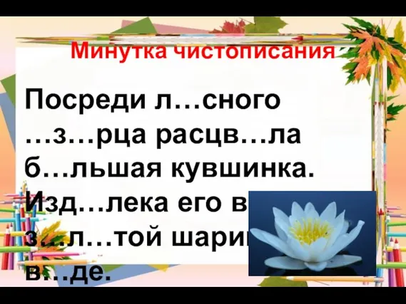 Минутка чистописания Посреди л…сного …з…рца расцв…ла б…льшая кувшинка. Изд…лека его видно-з…л…той шарик на в…де.