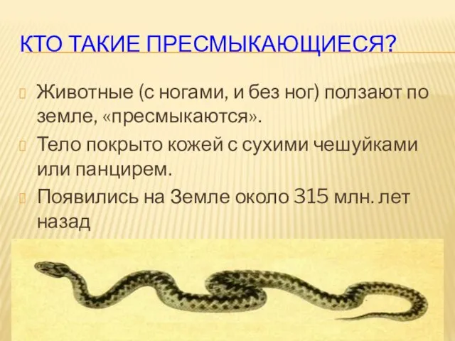 КТО ТАКИЕ ПРЕСМЫКАЮЩИЕСЯ? Животные (с ногами, и без ног) ползают по земле,