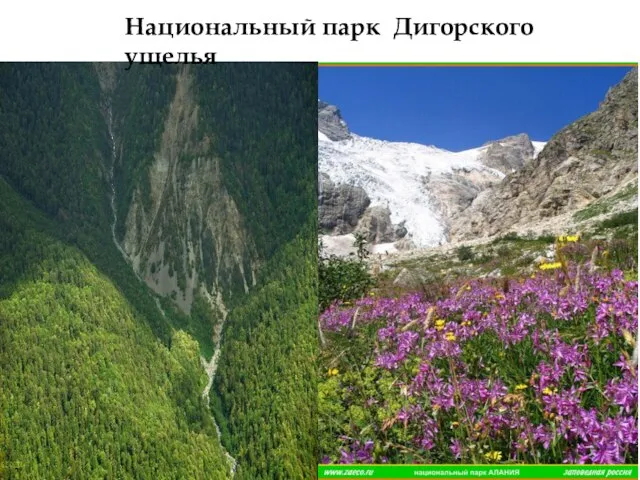Национальный парк Дигорского ущелья