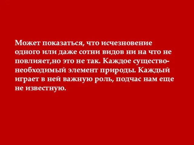 Может показаться, что исчезновение одного или даже сотни видов ни на что