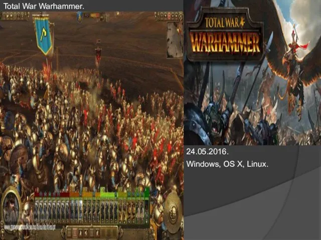 Total War Warhammer. 24.05.2016. Windows, OS X, Linux.