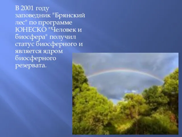 В 2001 году заповедник "Брянский лес" по программе ЮНЕСКО "Человек и биосфера"