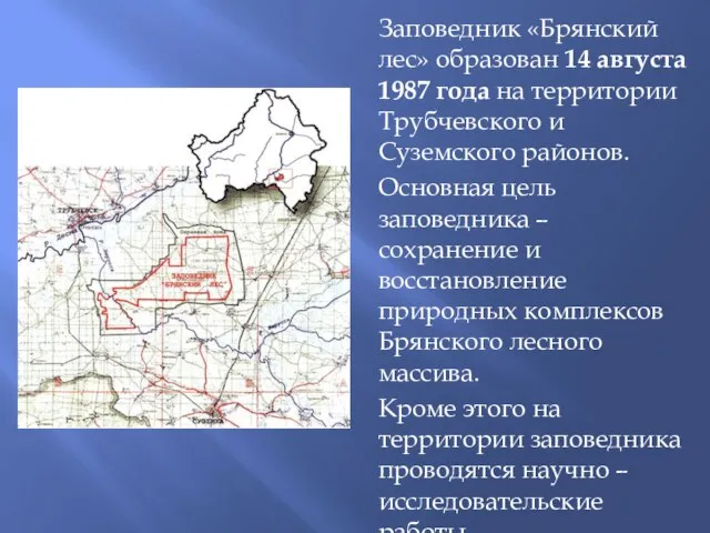 Заповедник «Брянский лес» образован 14 августа 1987 года на территории Трубчевского и