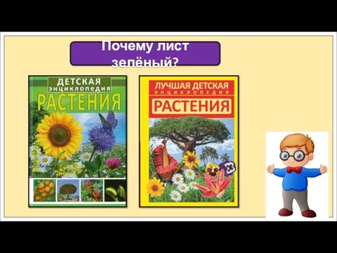 Почему лист зелёный?