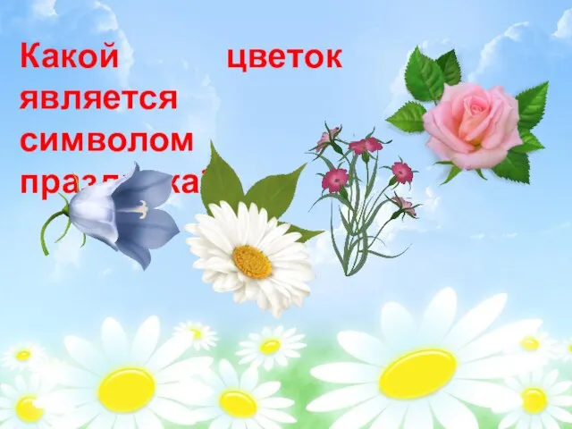 Какой цветок является символом праздника?