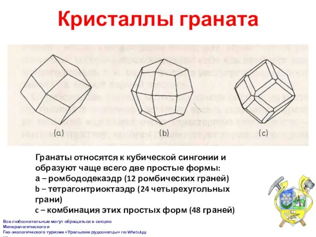 Кристаллы граната Гранаты относятся к кубической сингонии и образуют чаще всего две