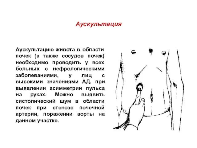 Аускультация Аускультацию живота в области почек (а также сосудов почек) необходимо проводить