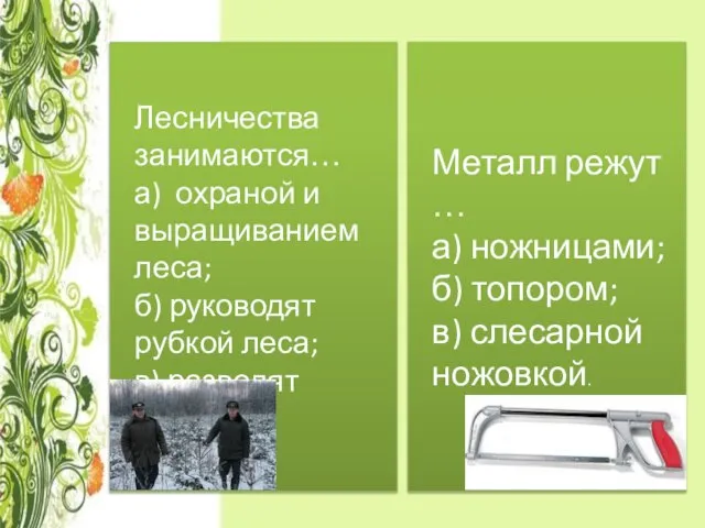 Лесничества занимаются… а) охраной и выращиванием леса; б) руководят рубкой леса; в)