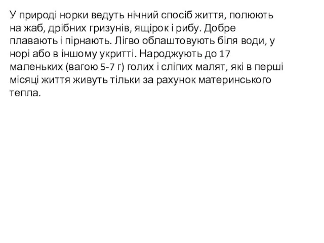 У природі норки ведуть нічний спосіб життя, полюють на жаб, дрібних гризунів,