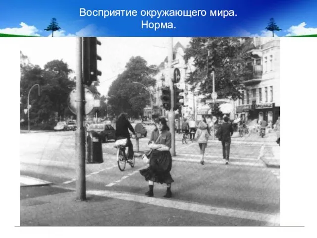 Восприятие окружающего мира. Норма.