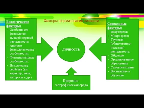 Факторы формирования личности ЛИЧНОСТЬ Природно-географическая среда Биологические факторы: Особенности физиологии высшей нервной