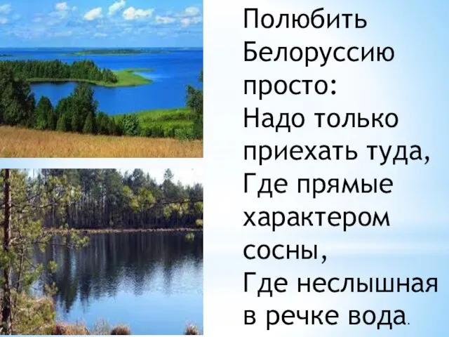 Полюбить Белоруссию просто: Надо только приехать туда, Где прямые характером сосны, Где неслышная в речке вода.