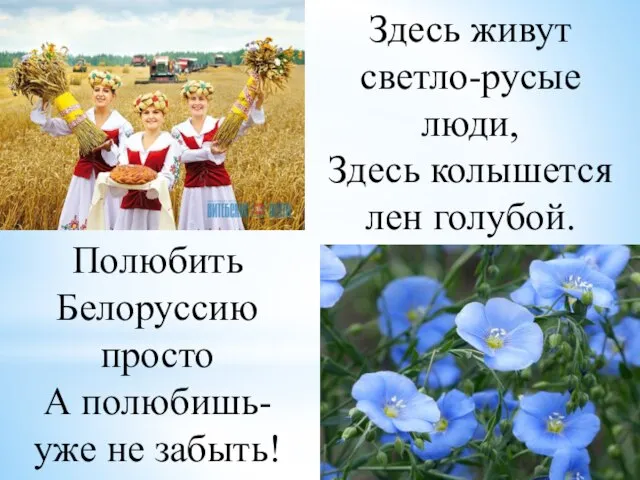 Здесь живут светло-русые люди, Здесь колышется лен голубой. Полюбить Белоруссию просто А полюбишь- уже не забыть!