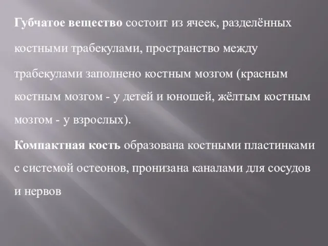 Губчатое вещество состоит из ячеек, разделённых костными трабекулами, пространство между трабекулами заполнено