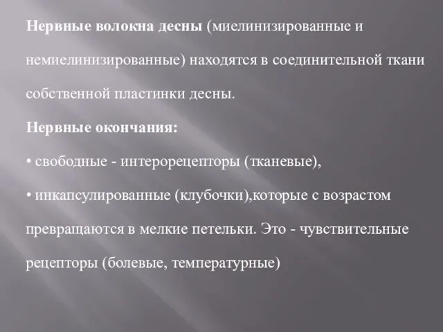 Нервные волокна десны (миелинизированные и немиелинизированные) находятся в соединительной ткани собственной пластинки