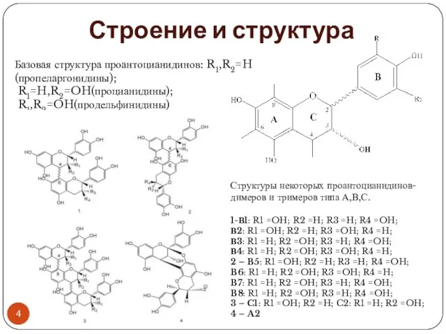 Строение и структура Базовая структура проантоцианидинов: R1,R2=H (пропеларгонидины); R1=H,R2=OH(процианидины); R1,R2=OH(продельфинидины) Структуры некоторых