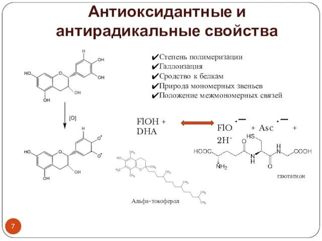 Антиоксидантные и антирадикальные свойства Степень полимеризации Галлоизация Сродство к белкам Природа мономерных