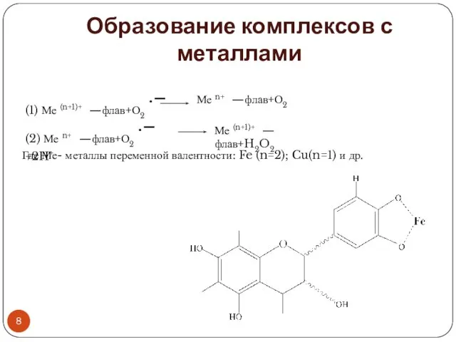 Образование комплексов с металлами (1) Ме (n+1)+ —флав+О2 ·– Ме n+ —флав+О2