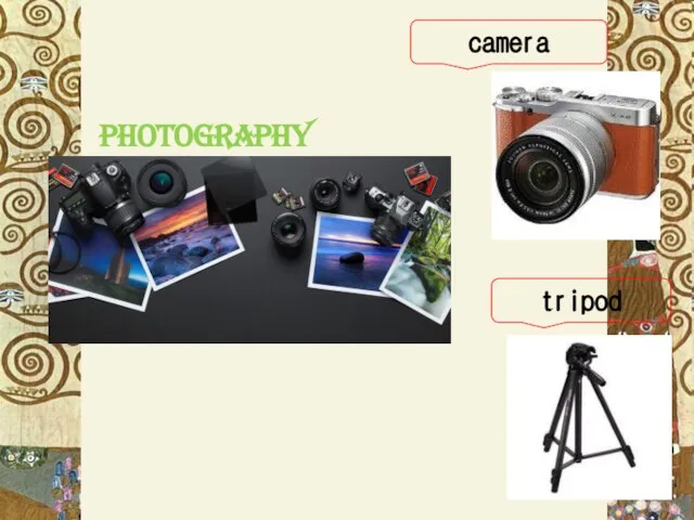 photography camera tripod