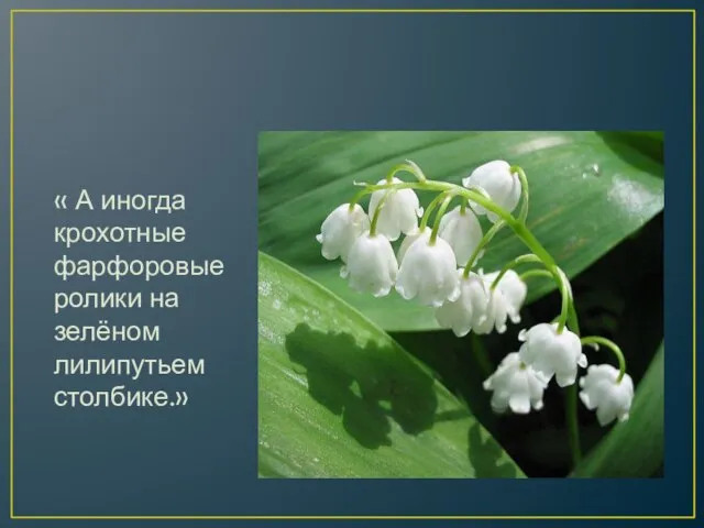 « А иногда крохотные фарфоровые ролики на зелёном лилипутьем столбике.»