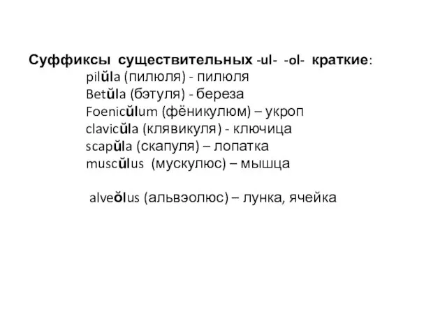 Суффиксы существительных -ul- -ol- краткие: pilŭla (пилюля) - пилюля Betŭla (бэтуля) -