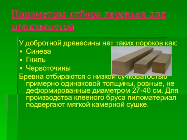 Параметры отбора деревьев для производства У добротной древесины нет таких пороков как: