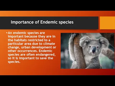 Importance of Endemic species An endemic species are important because they are