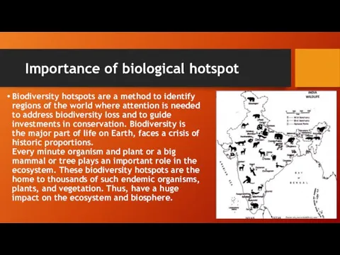 Importance of biological hotspot Biodiversity hotspots are a method to identify regions