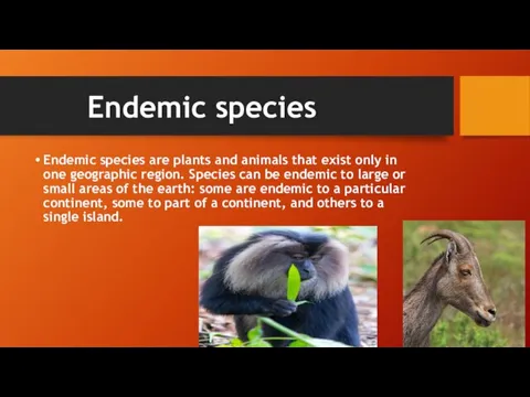 Endemic species Endemic species are plants and animals that exist only in