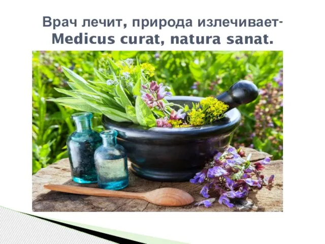 Врач лечит, природа излечивает- Medicus curat, natura sanat.