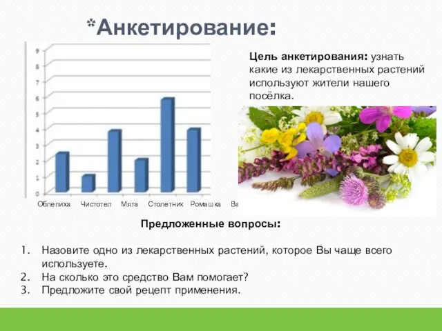 *Анкетирование: Облепиха Чистотел Мята Столетник Ромашка Валерьяна Цель анкетирования: узнать какие из