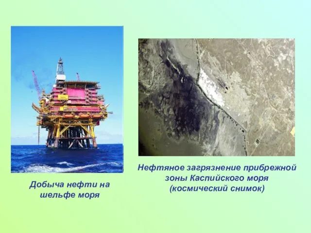 Добыча нефти на шельфе моря Нефтяное загрязнение прибрежной зоны Каспийского моря (космический снимок)
