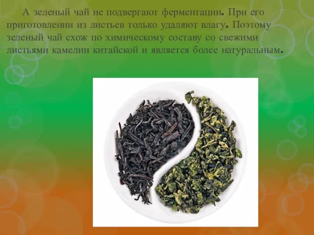А зеленый чай не подвергают ферментации. При его приготовлении из листьев только