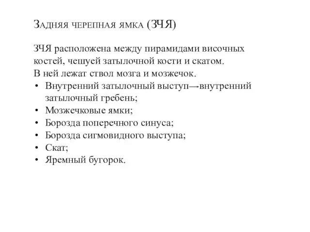 Задняя черепная ямка (ЗЧЯ) ЗЧЯ расположена между пирамидами височных костей, чешуей затылочной